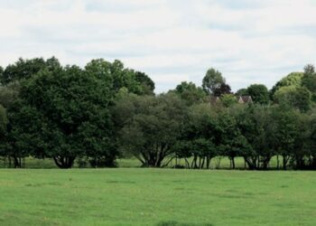 The site off Barkham Road, Pic: Wokingham Borough Council.