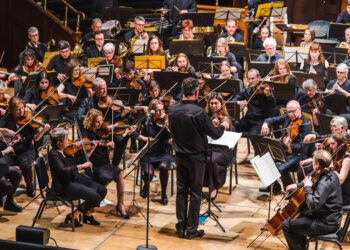 The Reading Symphony Orchestra Picture: Alex Harvey-Brown