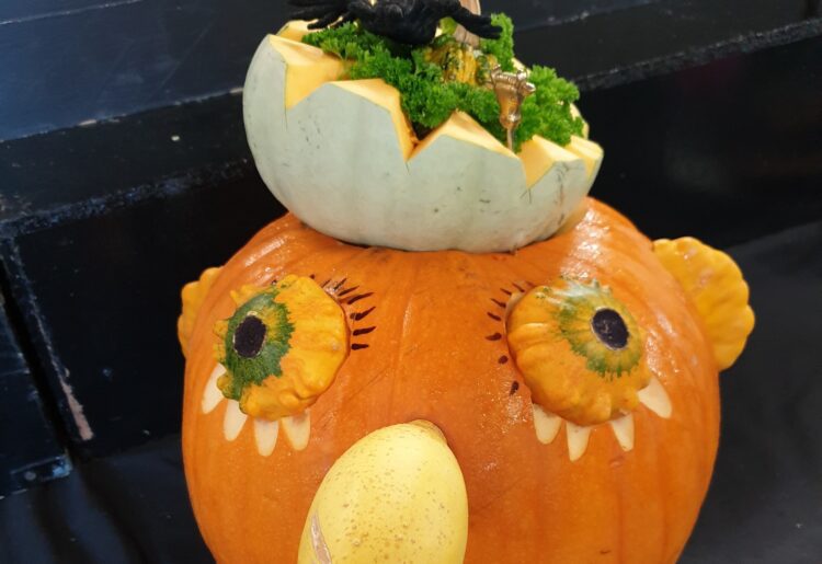 Exhibitors were creative this year, making pumpkin displays with combinations of different squashes, at WHA's annual Pumpkin Festival. Picture: WHA