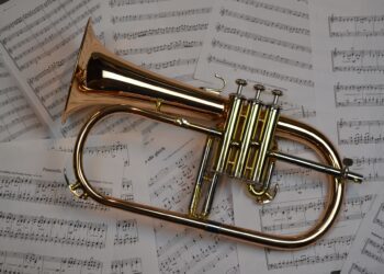 People interested in playing with a brass band should contact the group. PIcture: Jaron gmn via PIxabay