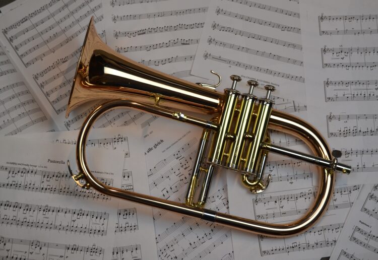 People interested in playing with a brass band should contact the group. PIcture: Jaron gmn via PIxabay