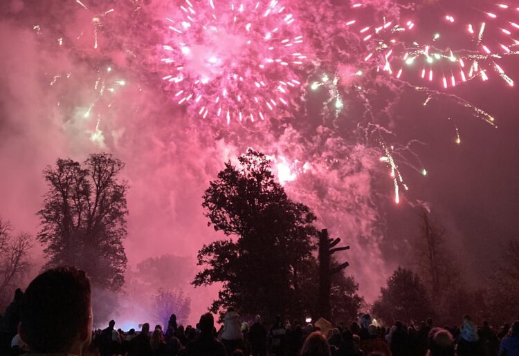 The firework display was bigger than last year's. Picture: Emma Merchant