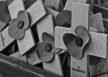 Rail travel for veterans attending Remembrance events s free this weekend Picture: James Harris on Unsplash