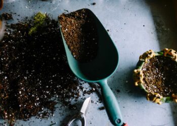 Picture: Neslihan Gunaydin via Unsplash