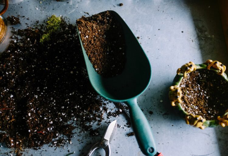 Picture: Neslihan Gunaydin via Unsplash