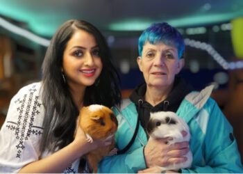 A guinea pig documentary can be seen at Showcase Reading on Friday and Sunday, November 10 and 12. Picture courtesy of Showcase Cinemas