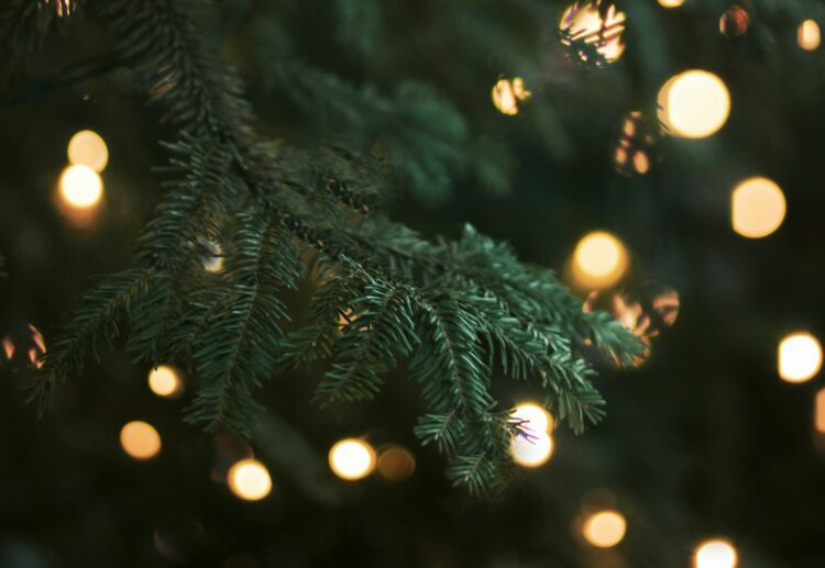 Picture: Morgane Le Breton via Unsplash