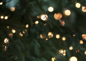 A Christmas concert will be performed in Wokingham Town Hall. Picture: Morgane le Breton via Unsplash
