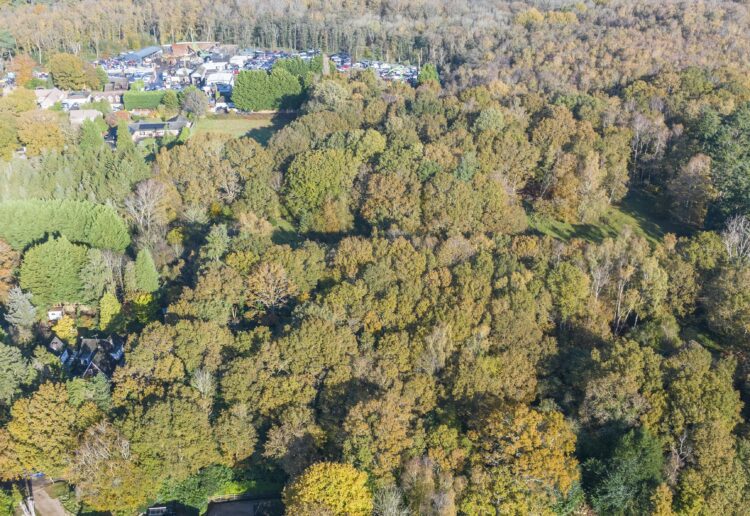 Land in Barkham will come under the hammer.