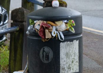 People are beginning to pile rubbish around full bins. Picture: Andrew Batts