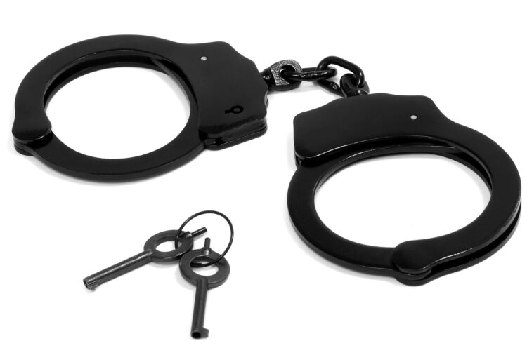 A builder for Arborfield has been jailed. Image by WikimediaImages from Pixabay.