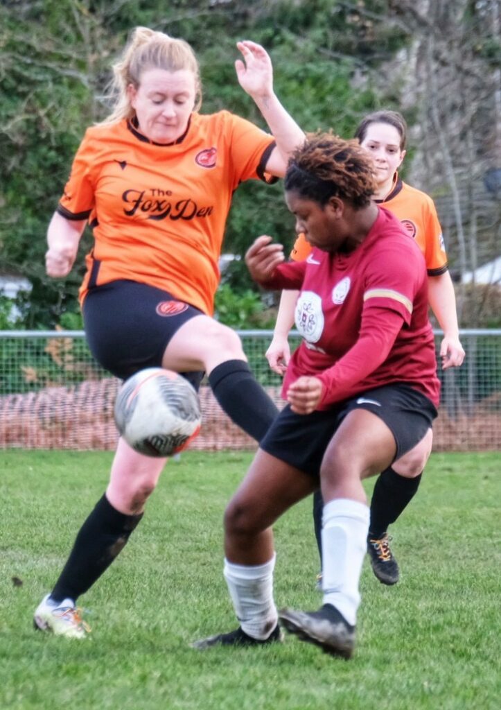 Wokingham & Emmbrook v Berks County Pictures: Andrew Batt
