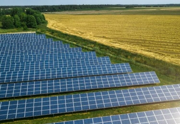 An example of the type of solar panel proposed at Heathlands Farm. Credit: OSP Architecture.