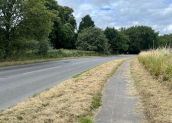 One of the verges on Finchampstead Road. Credit: Simons and Sons.