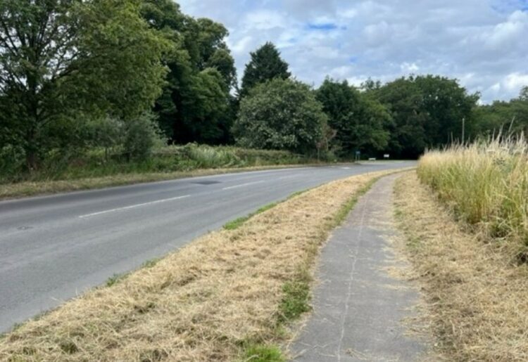 One of the verges on Finchampstead Road. Credit: Simons and Sons.
