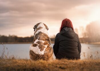 A dog is a friend for life Picture: pixabay