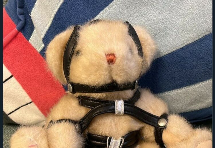 An inappropriate toy received by First Days Children's Charity, is a reminder of the importance of asking givers not to wrap their donated gifts for children. Picture: First Days