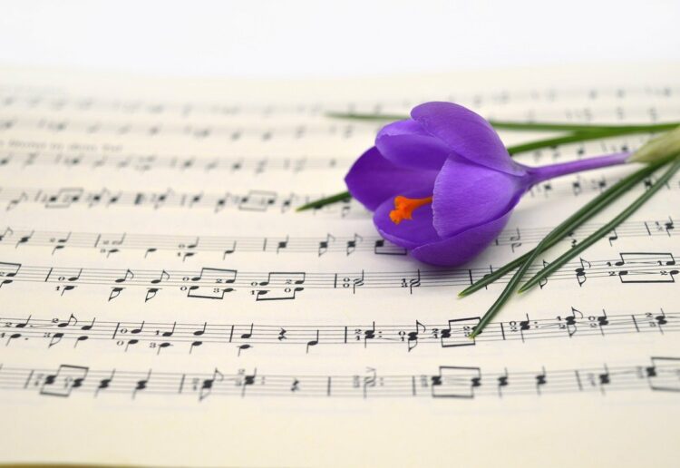 Binfield Community Choir is welcoming new singers Picture: Pixabay