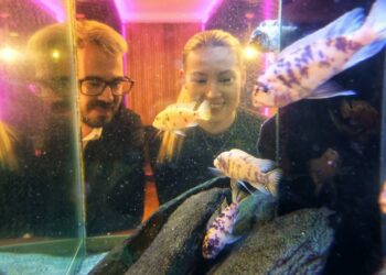 Pictured at feeding time are Kane, head of lettings, and Harmony, senior sales negotiator.,