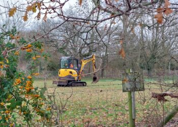 Survey work was done on a green field for possible housing in Hurst