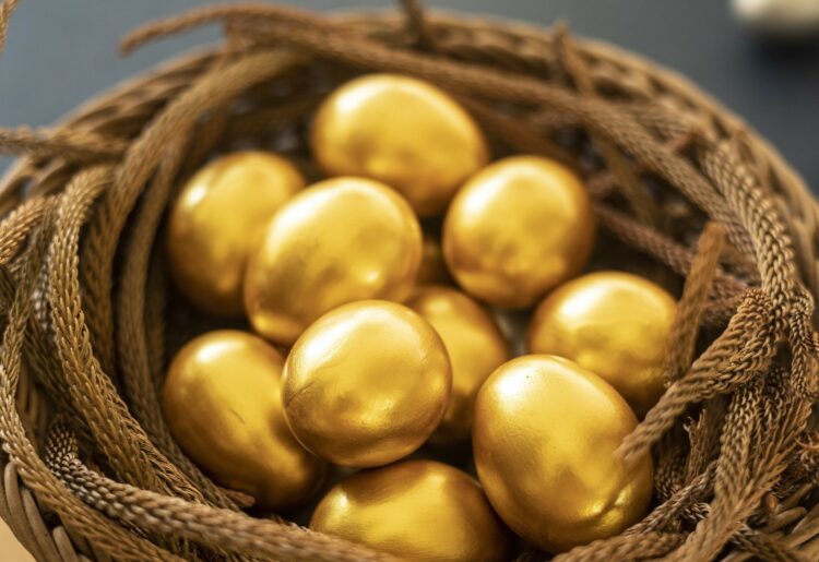 Mother Goose will be performed by Christi Parish Pantomime group on January 27 and 28. Picture: COARSE+FINE via Pixabay