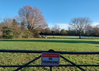 The field in Hurst