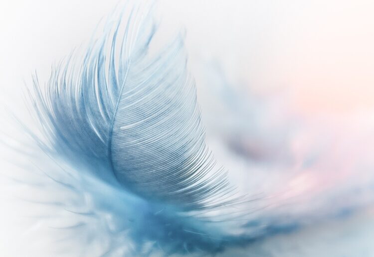 Can you feel the wind? Picture: Pixabay