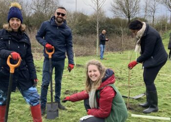 Green Park has 450 new native trees thanks to the efforts of 60 planters. Picture: Emma Merchant