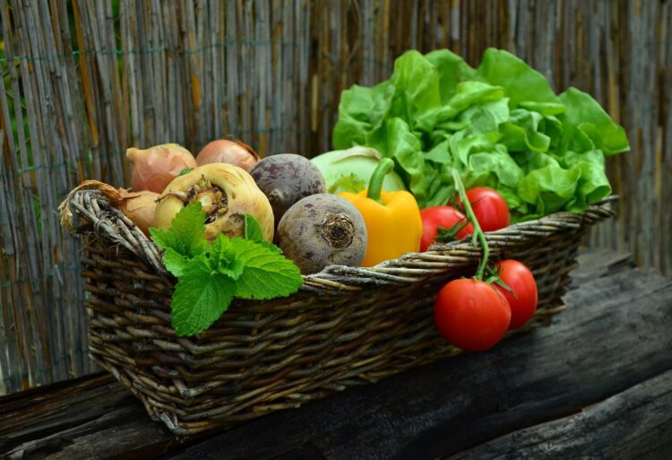 New gardeners can pick up seed packets from Wokingham Information Centre, in the Town Hall, from Wednesday, March 6. Picture: congerdesign vi Pixabay