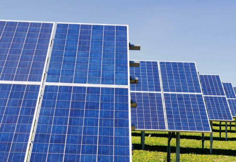 Work on a new solar farm can now go ahead. Picture: Xbynek Burival via Unsplash