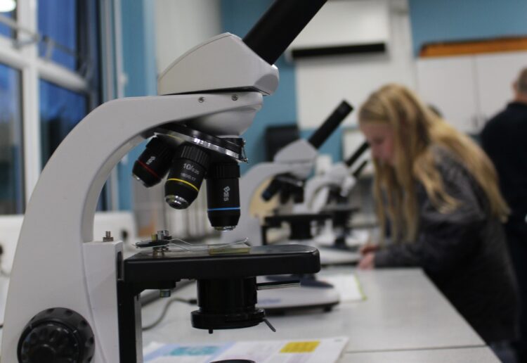 The Forest School will welcome its first co-ed Year Seven from September Picture: The Forest School