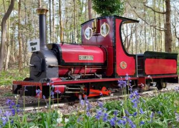 Pinewood Miniature Railway is open for family rides on the third Sunday of the month through to October. Picture: WBCouncil