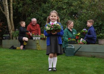 Dobbies Community Gardens project is looking for schemes to back Picture: Stewart Attwood Photography