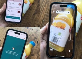 The app encourages users to search for recycling guidance.
