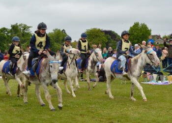 The Twyford Donkey Derby on Sunday.

The second race.