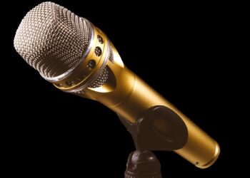Toastmasters will practise their speechmaking skills . PIcture: Alexa via Pixabay