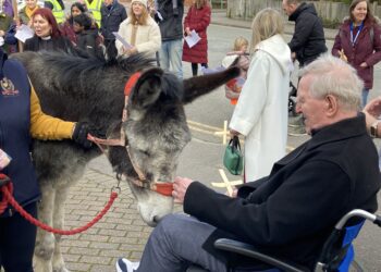 Samson the donkey led a procession through Wokingham on Sunday. Eric is pictured with Samson, enjoying a chance to pet the donkey. Picture: Emma Merchant