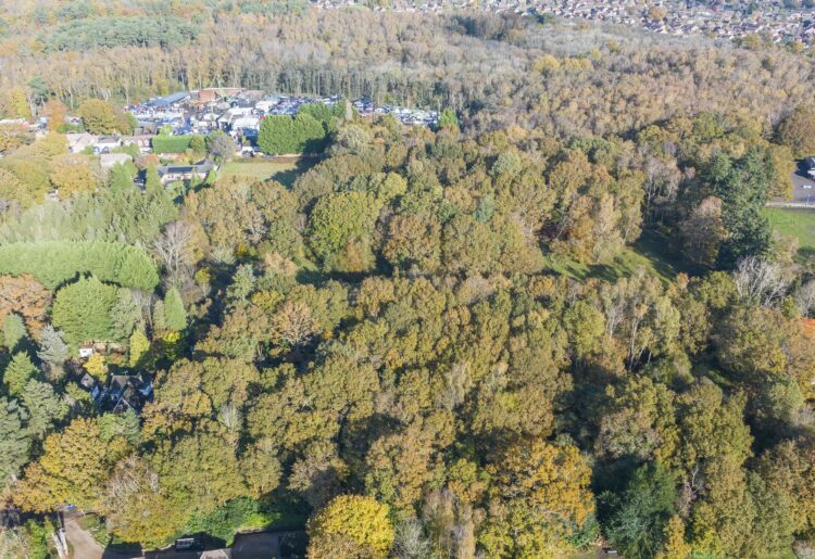 Land in Barkham will come under the hammer.