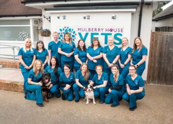 Mulberry House Vets in Wokingham is one of three finalists in this year's Petplan Veterinary Awards. Picture: Mulberry House Vets