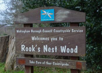 Rook's Nest Farm sits opposte Rook's Nest Wood. Picture: Dijana Capan