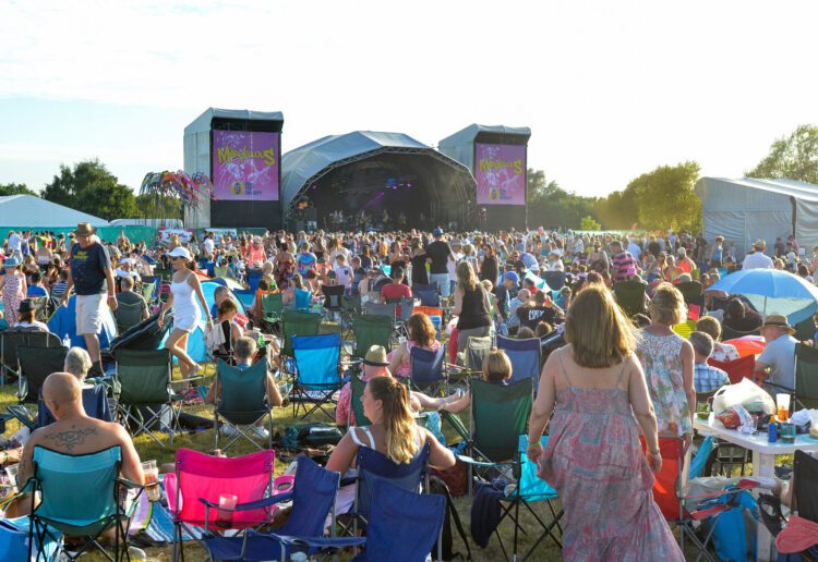 The Marvellous Festival at Dinton Pastures at the weekend Picture: Steve Smyth