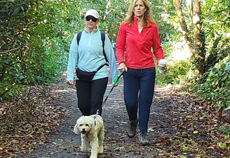 Wokingham Walk took place at the weekend, giving residents an opportunity to enjoy green spaces, and raise money for charity. Picture: David Dunham