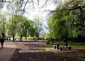 A free ramble round Dinton Pastures takes place on Sunday, March 24, at 10am. Picture: Steve Daniels via Wikimedia Commons