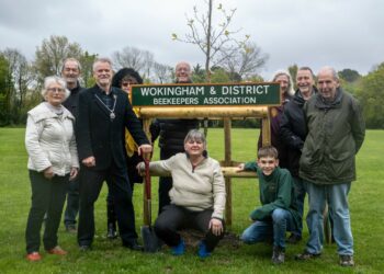 Wokingham Town Council deputy mayor, Robert Comber, joined David Geen, President of the Wokingham and District Beekeepers? Association (W&DBKA) for the event, held a tree planting event at the King George V Playing Field on Goodchild Road