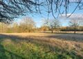 A plan for homes on the former Hurst Show fields was refused planning permission ? now an appeal against that decision has been launched