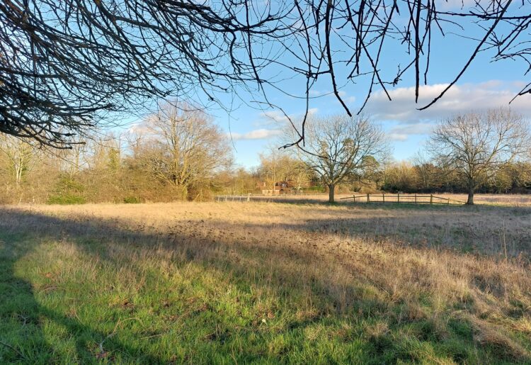 A plan for homes on the former Hurst Show fields was refused planning permission ? now an appeal against that decision has been launched