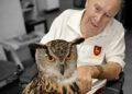 Resident Les Langley enjoys getting up close with an owl during a visit to Prince Philip Duke of Edinburgh Court from Feathers and Fur Falconry Centre. Picture: RMBI