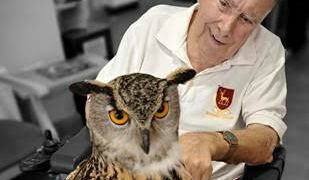 Resident Les Langley enjoys getting up close with an owl during a visit to Prince Philip Duke of Edinburgh Court from Feathers and Fur Falconry Centre. Picture: RMBI