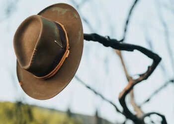 Wokingham Film Society will screen The Rider, written and directed by Chloe Zhao. Picture: Nathan Dumlao via Unsplash
