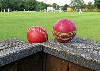 Cricket Picture: Wikimedia Commons